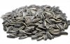 Sunflower Seeds 